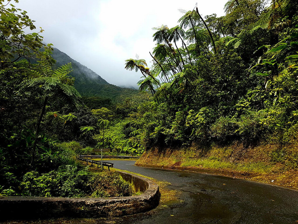 Go Holidate - Martinique 