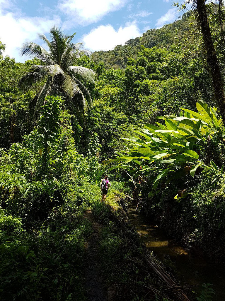 Go Holidate - Martinique