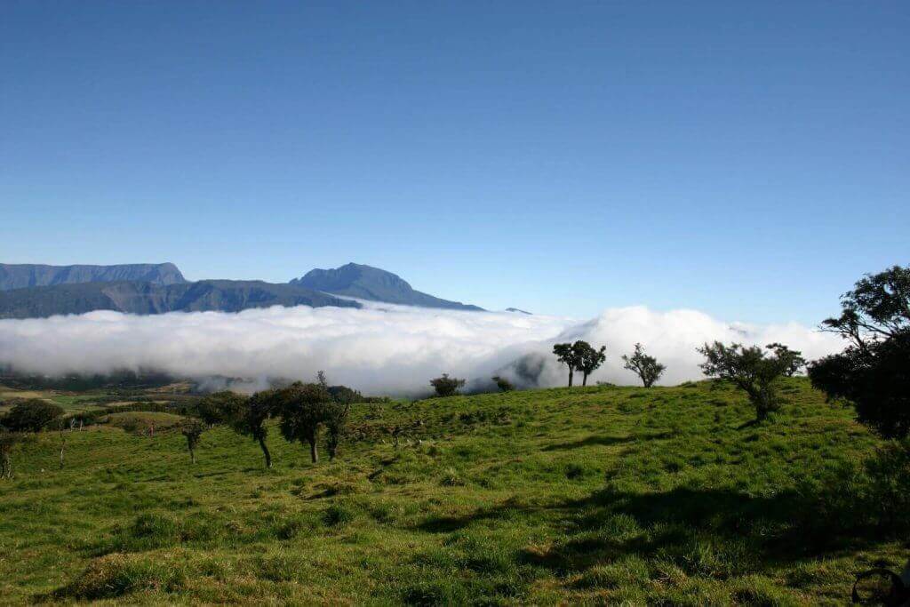 la-reunion-Aktivurlaub-fuer-gays-Foret de Bebour-sued-ost-kueste-und-seychellen-reise-inselkombi