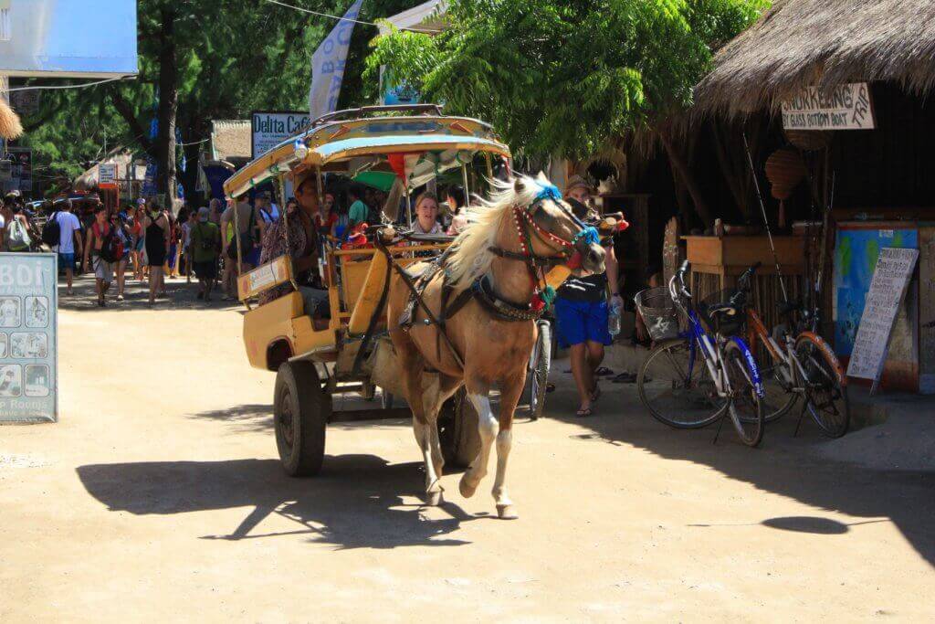 aktivreise-gay-indonesien-bali-unterwegs-mit-maennern-rundreise-bali-planen-mit-reiseplaner-fotos-indonesien-reisetipps-reiseexperte-indonesien