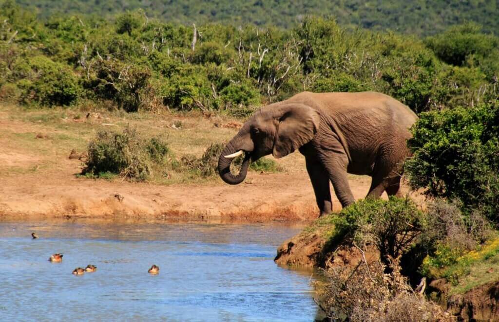 suedafrika-gay-urlaub-namibia-schwul-reisen-in-der-gruppe-wildlife