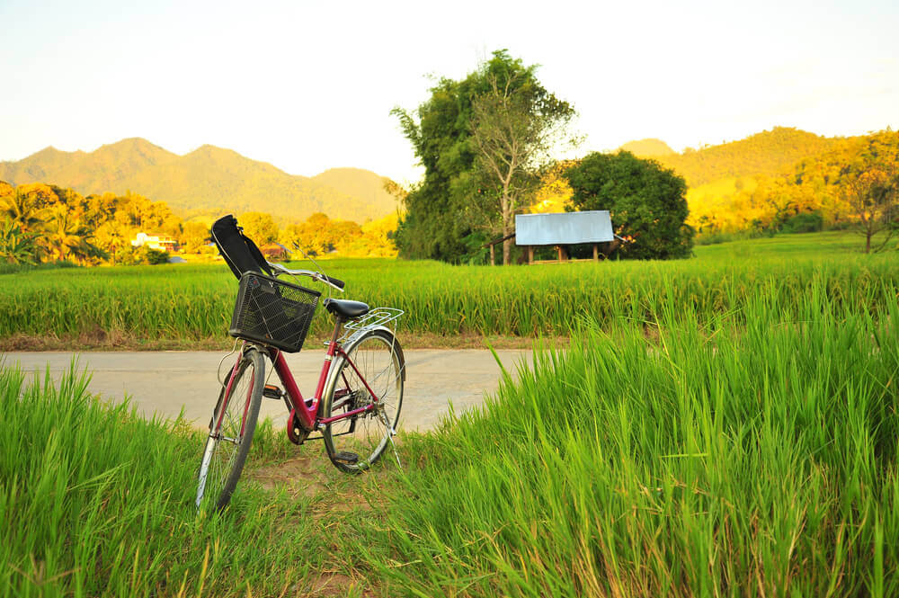 lesbisch-reisen-urlaub-fuer-frauen-eat-pray-love-reisefelder-fahrrad-reise-filmtourismus-rundreise-bali-planen