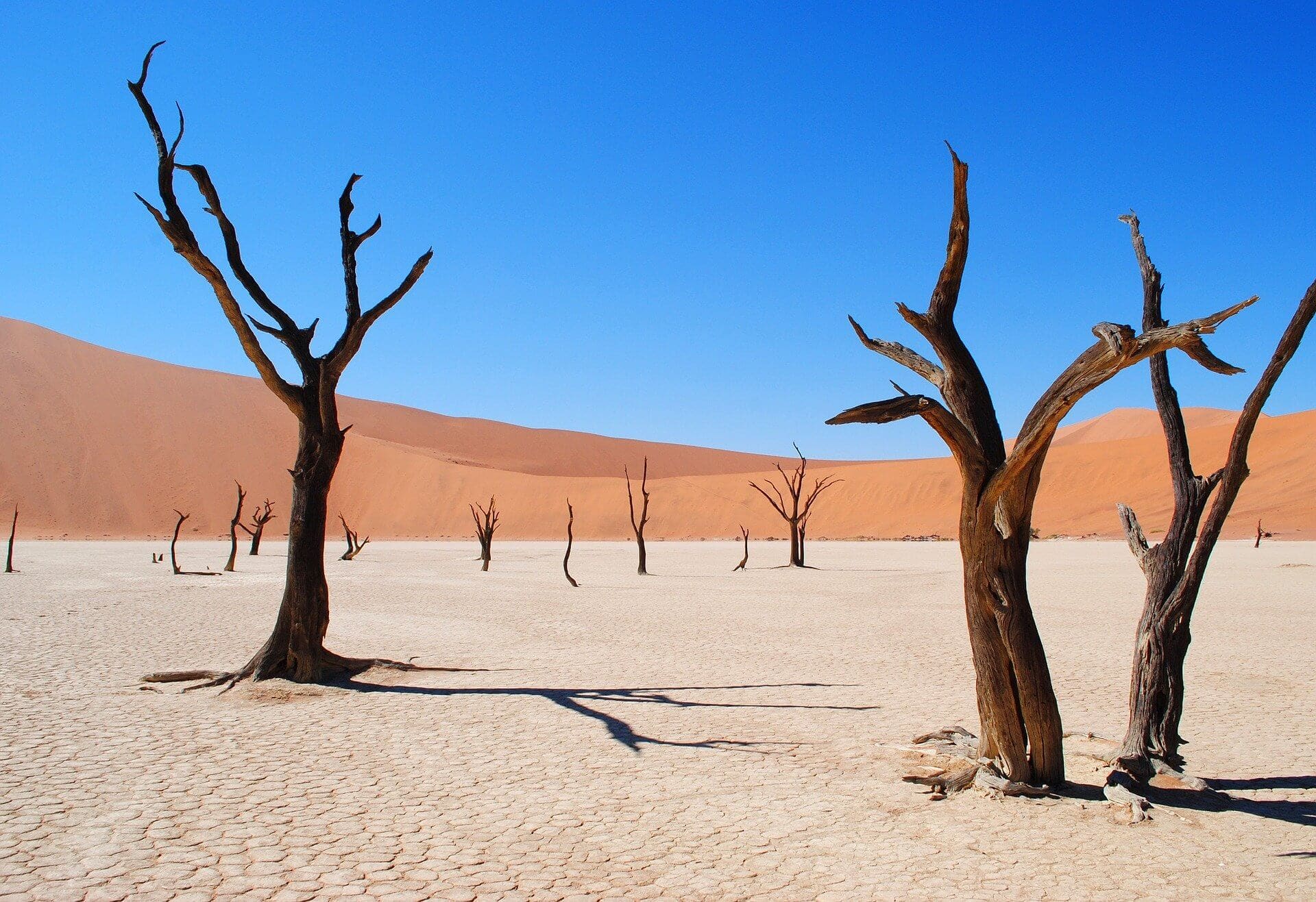 namibia-Gay-urlaub-namib-wueste-afrika-unterwegs-fuer-schwule