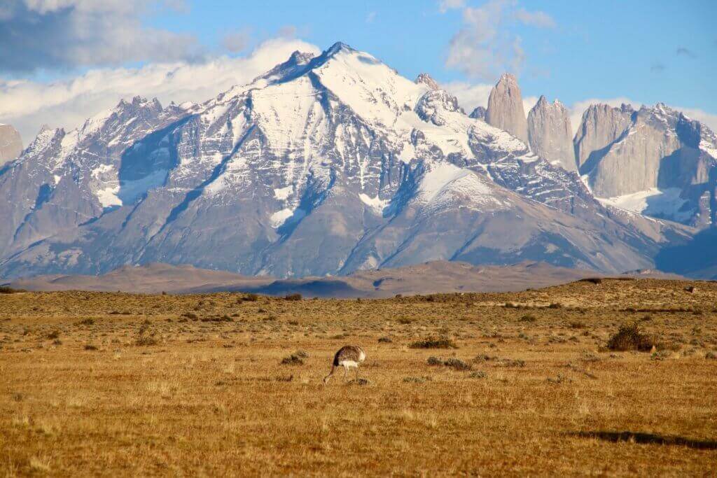 gay-chile-suedamerika-chilereise-schwul-torres-del-paine-organisiert-gay-aktivreise-patagonien