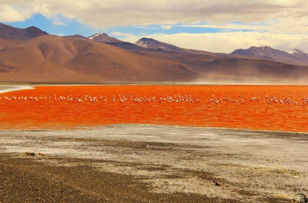 bolivien-gay-reise-buchen-laguna-colorada-schwul-urlaub-reisespezialist-suedamerika-rundreise