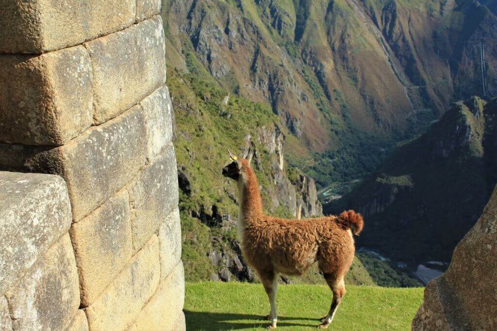 peru-gay-urlaub-machu-picchu-reise-fuer-schwule-kerle-reisen-suedamerika