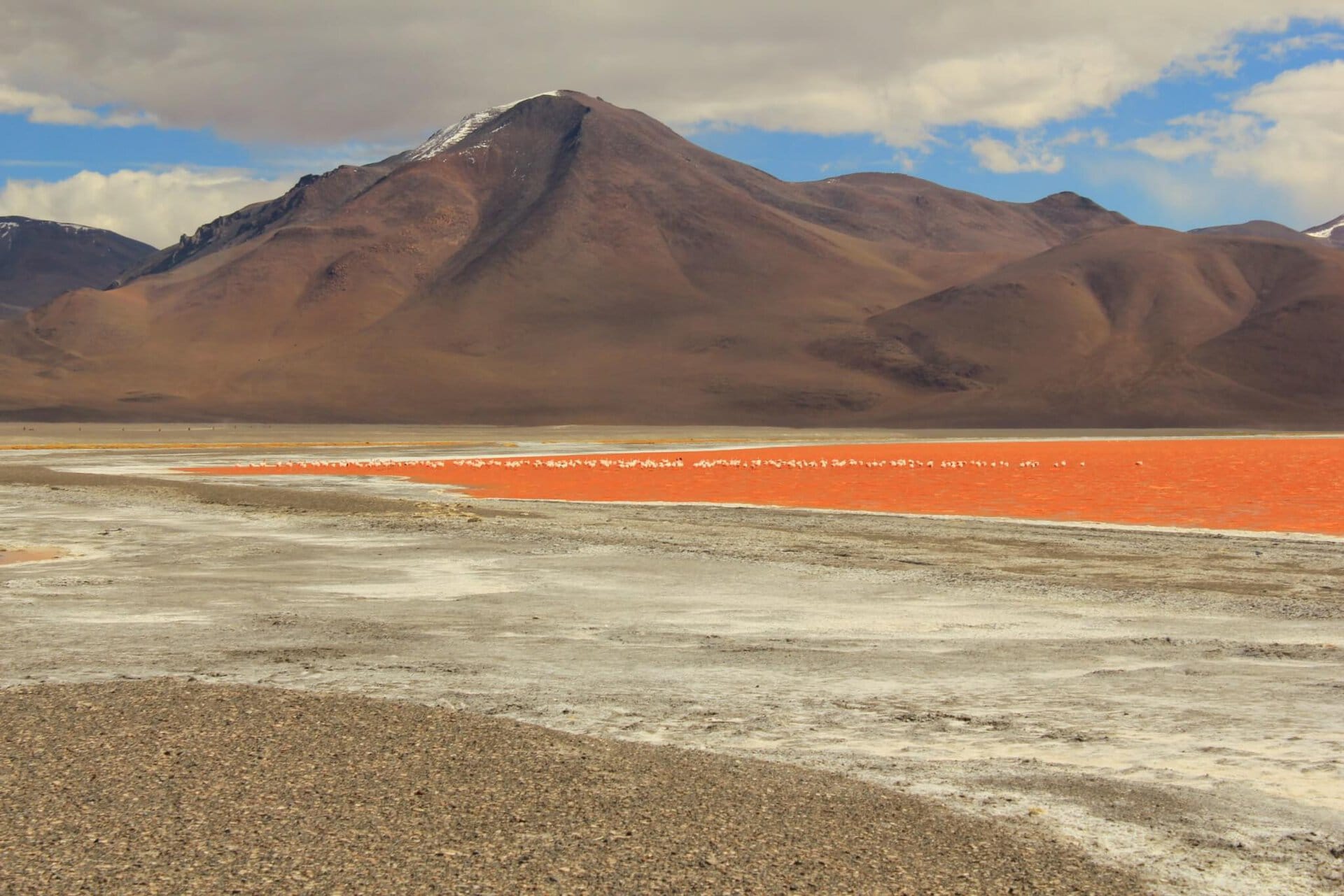 schwul-reisen-suedamerika-bolivien-hochland-lagunen-altiplano-kombi-chile-peru-rundreise-buchen-suedamerika