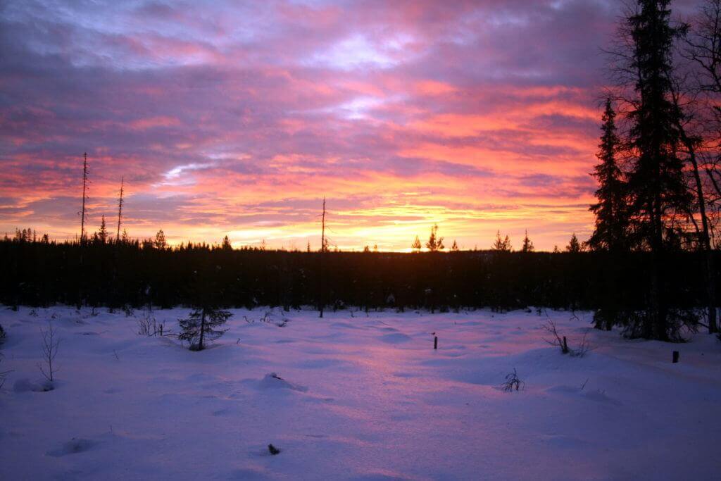 gay-aktiv-reise-lappland-im-winter-mit hundeschlitten-lesbisch-reisen-abendliche-stimmung