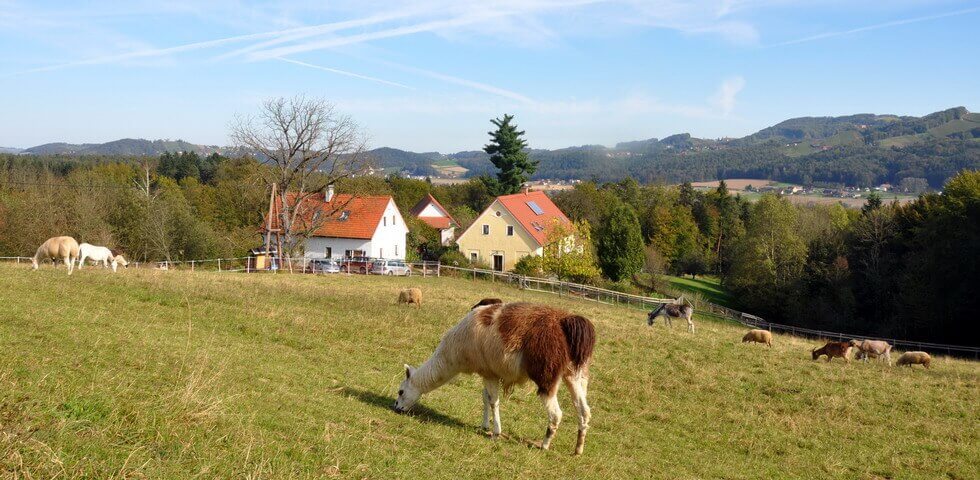 weiberhof-reise-lesbisch-hotel-alm-fuer-frauen-oesterreich