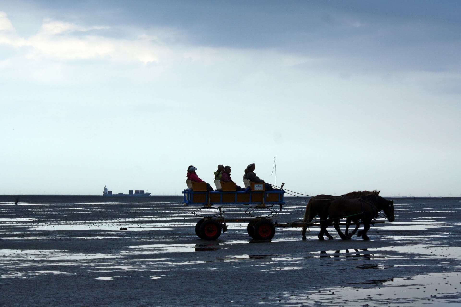 gay-grupenreise-deutschland-nordsee-schwule-reise