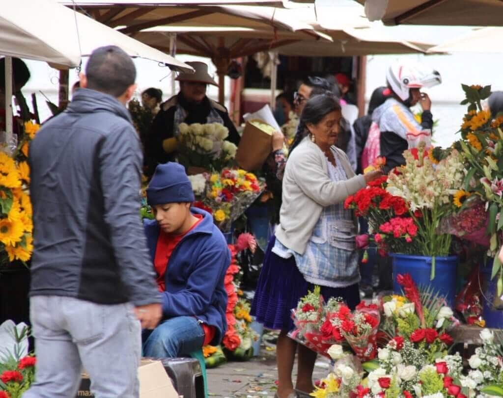 blumen-anden-gay-cuenca-straßenleben-marktstand-anden-reise-schwul-lesbisch-ecuador-equador-andentrip-lgbttravel-lgbt-latino