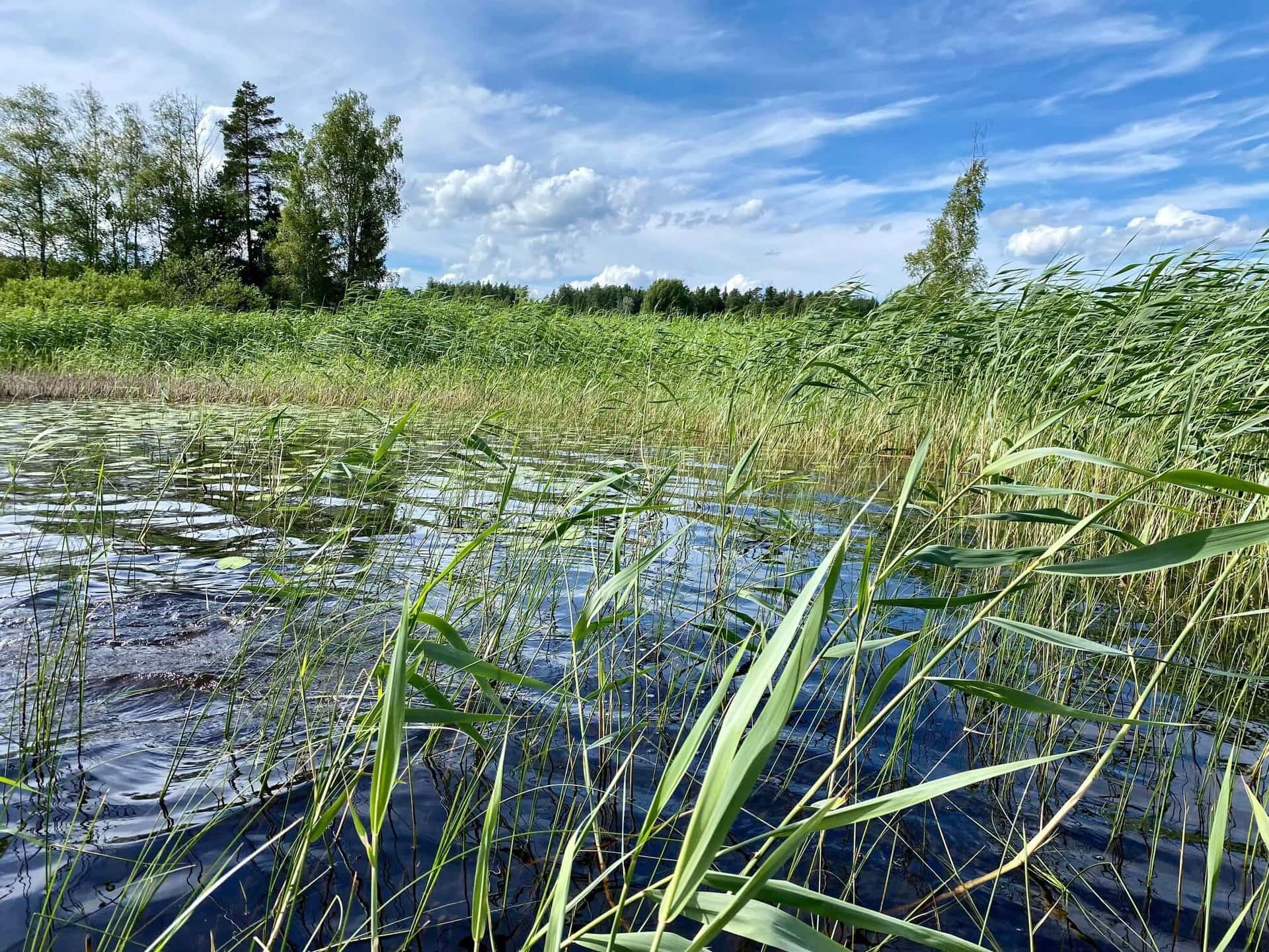 nordeuropa-gay-urlaub-skandinavien-finnland