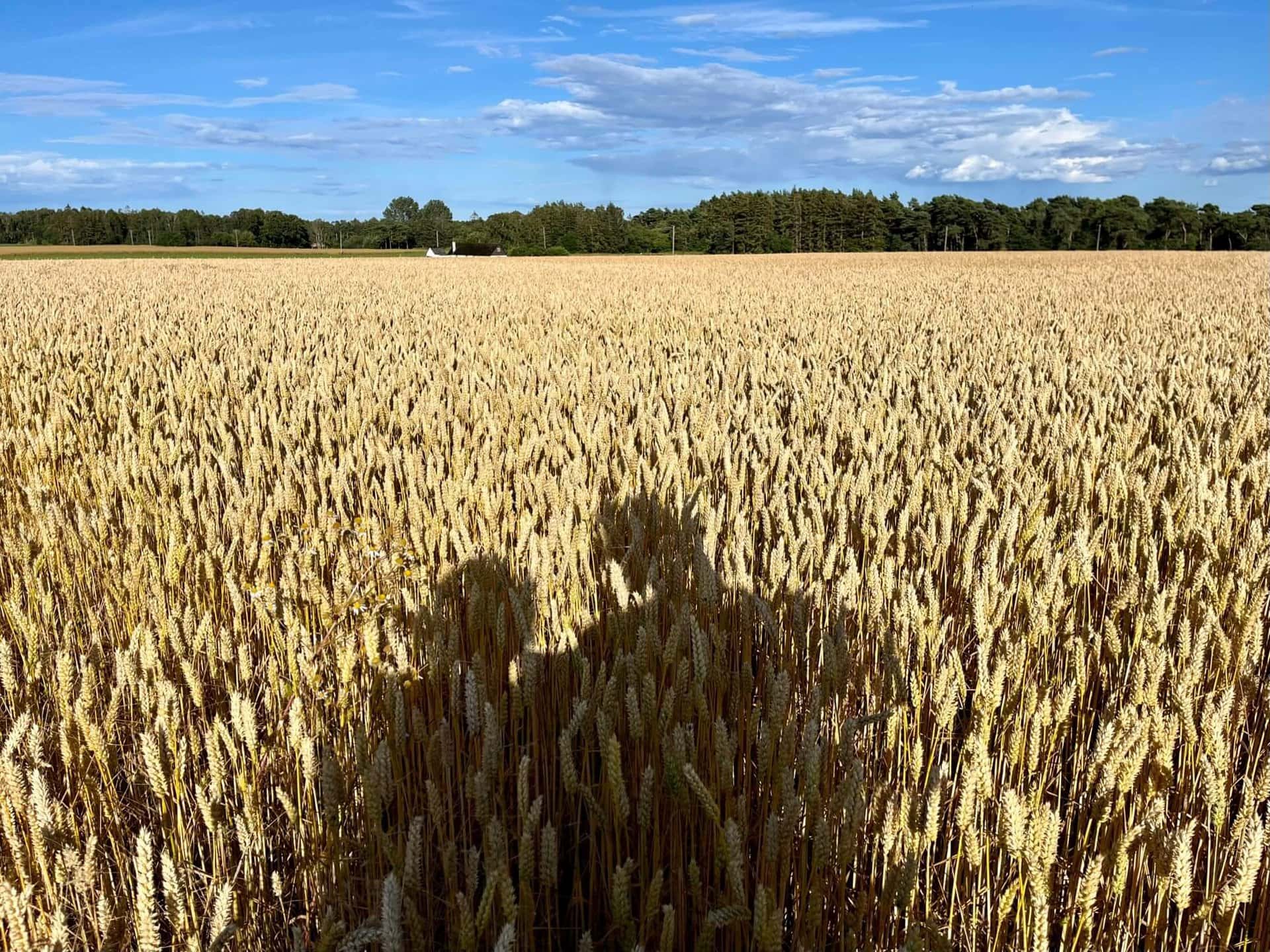 gay-reise-skandinavien-schweden