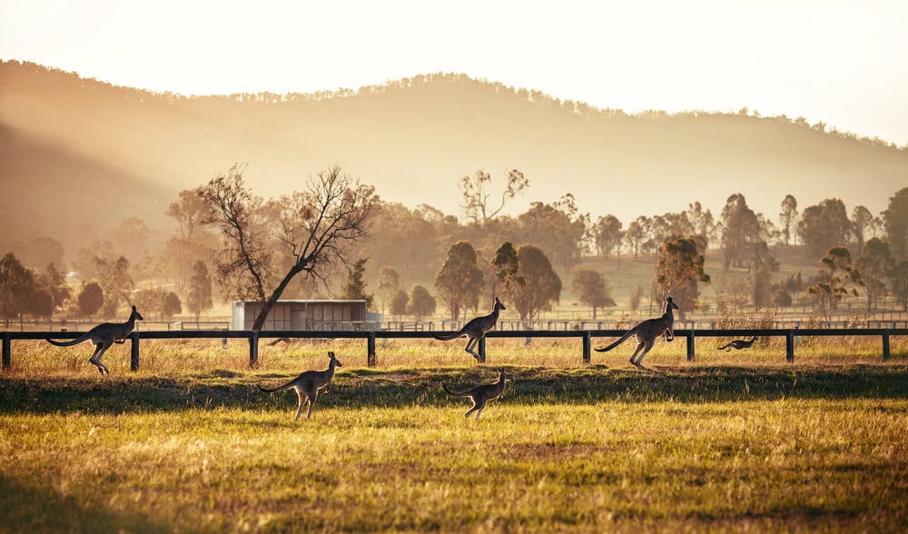 sydney-pride-lgbtq-reise-hunter-valley