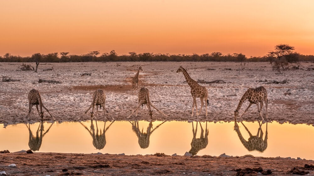 gay-gruppenreise-namibia-schwule-reise