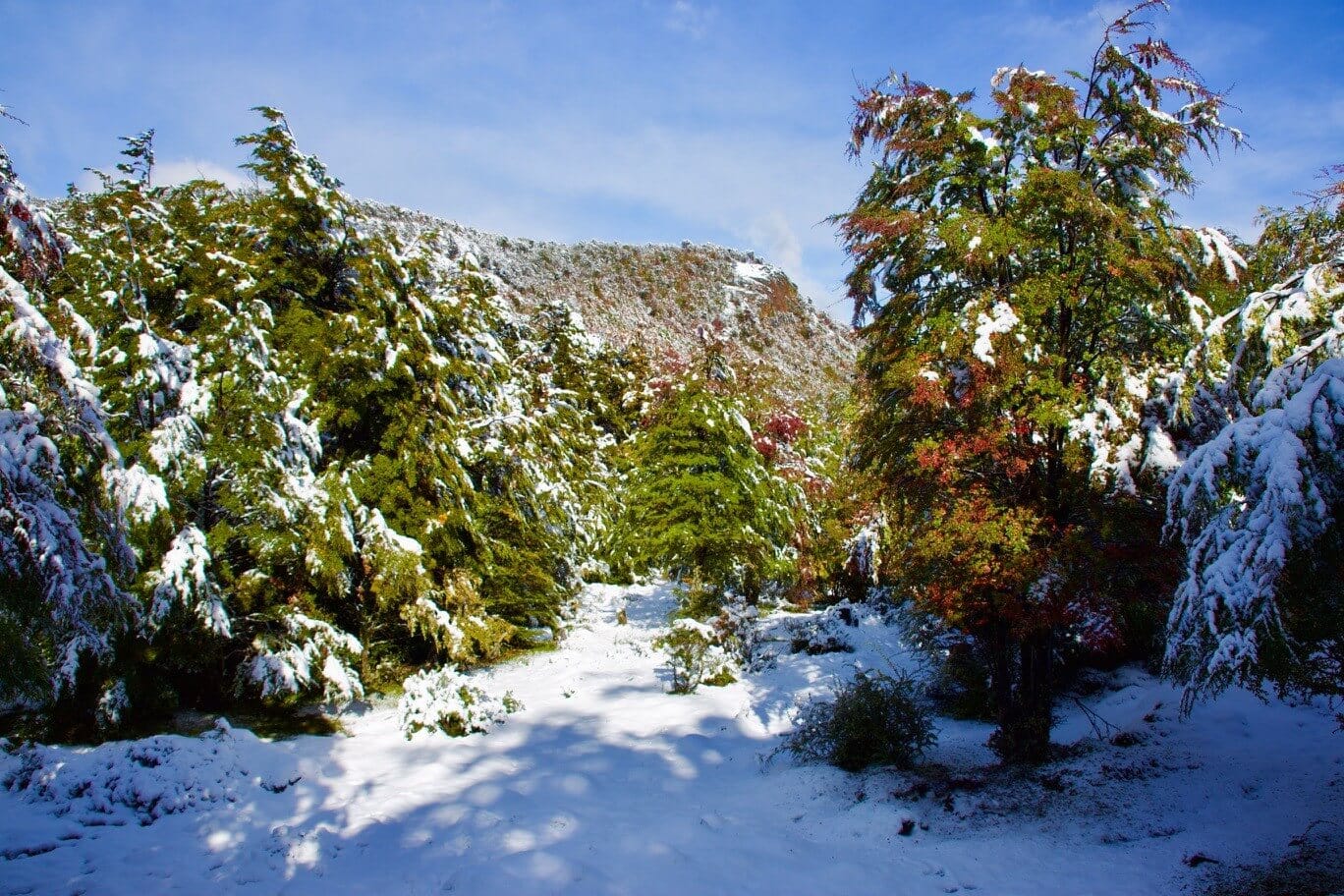 gay-urlaub-argentinien-tierra-del-fuego