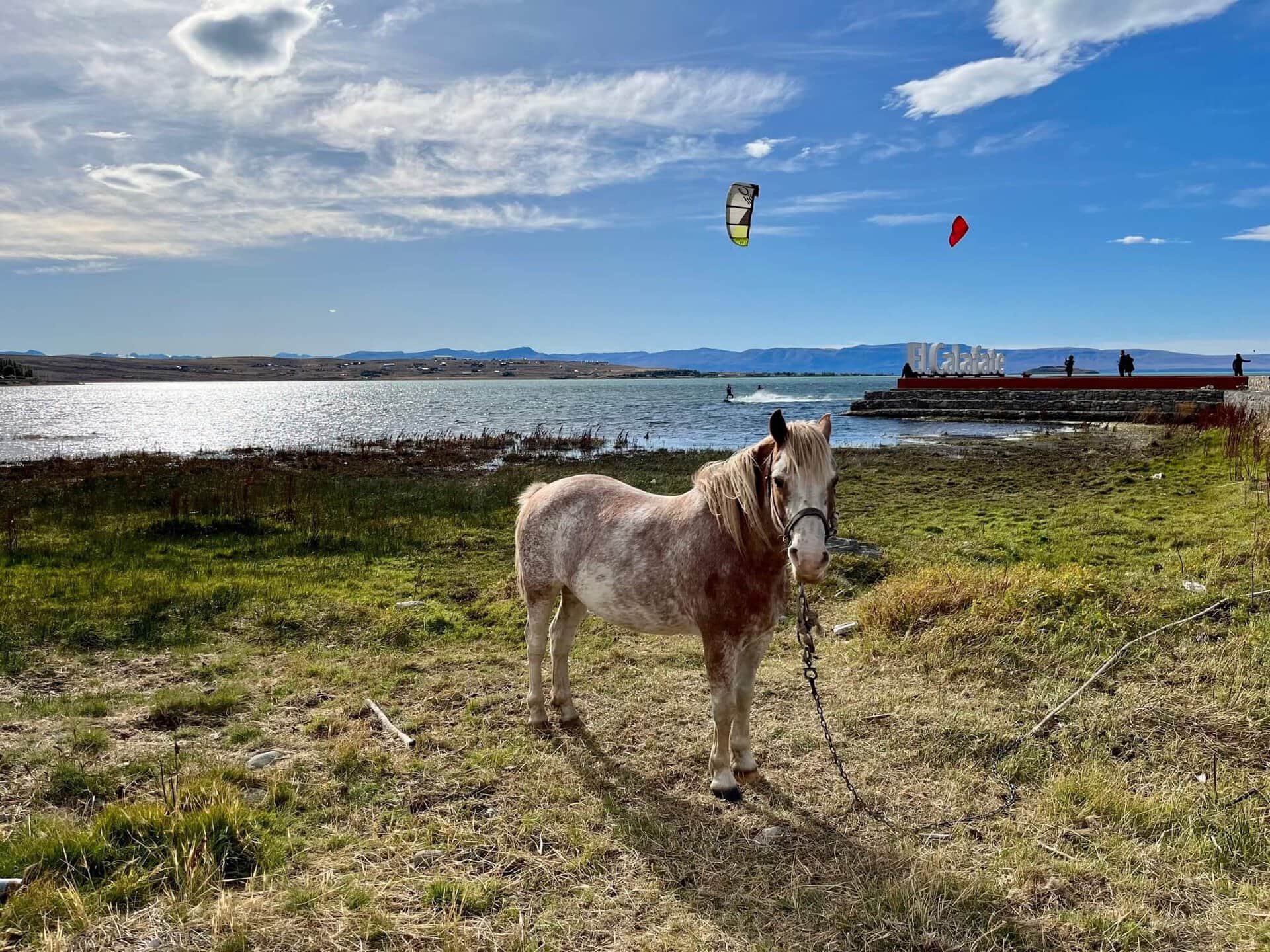 gay-gruppenreise-calafate-argentinien