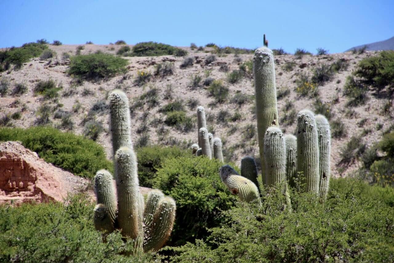 jujuy-coloured-earth-salta-gay-reiseblog