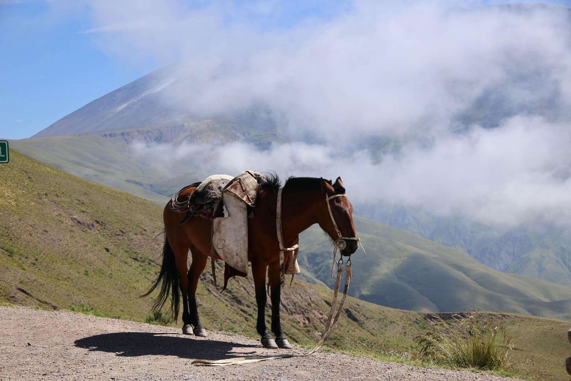 argentinien-reise-blog-salta