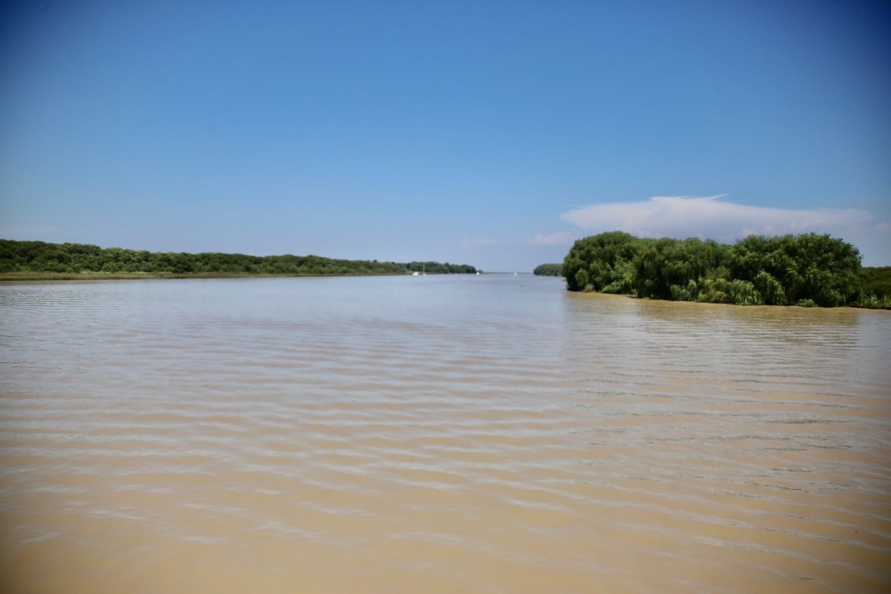 buenos-aires-tigres-gay-urlaub