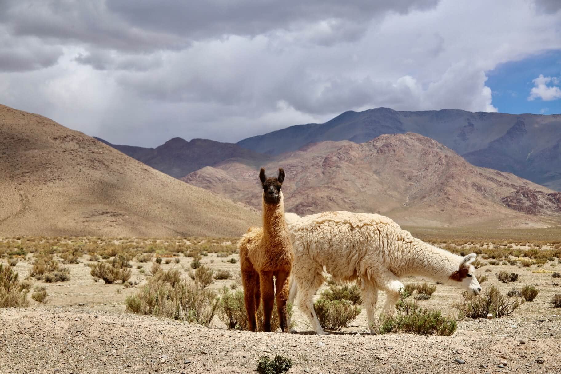 gay-reisende-urlaub-fuer-argentinien-salta