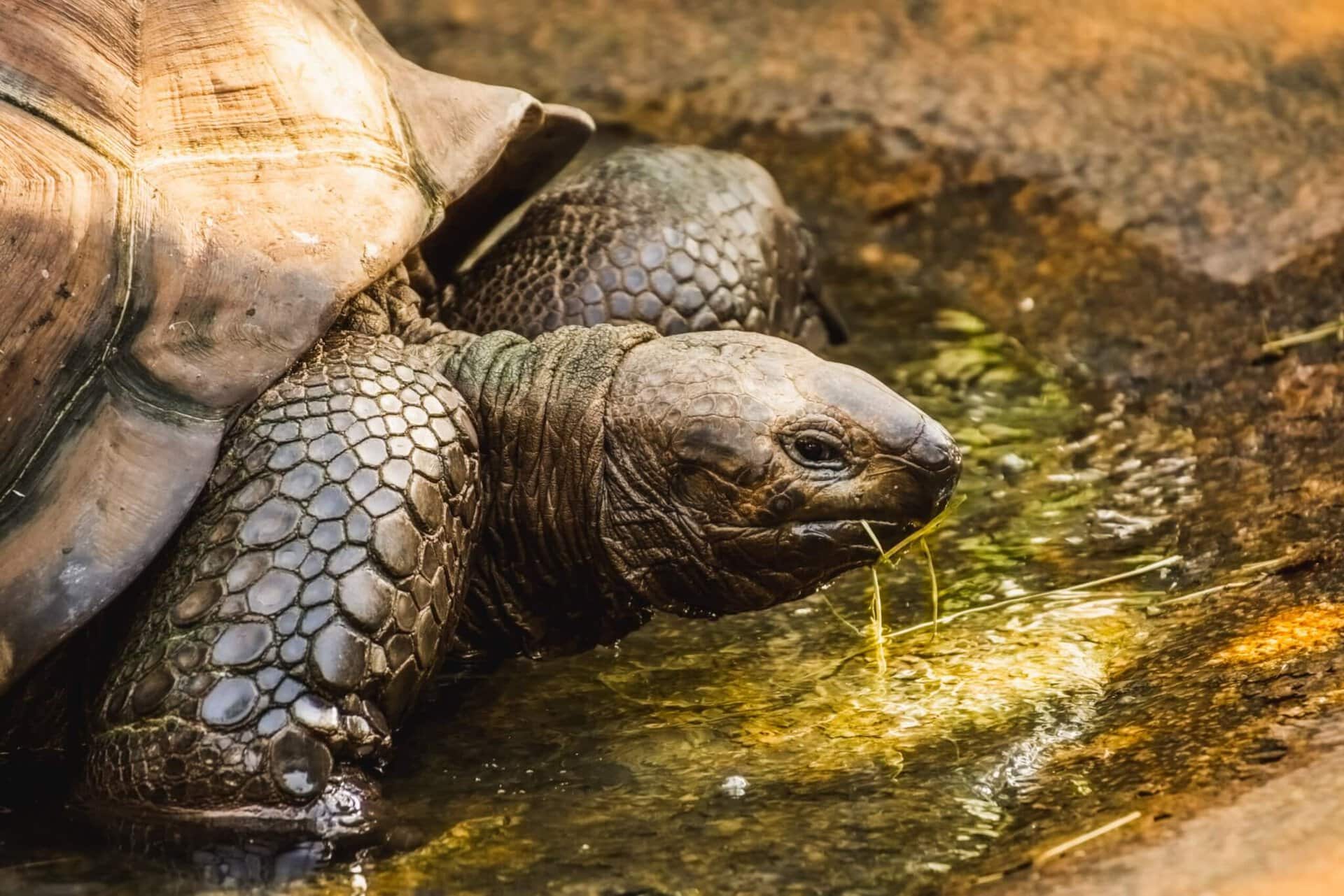 lgbtqi+-urlaub-galapagos-giant-kreuzfahrt-gay