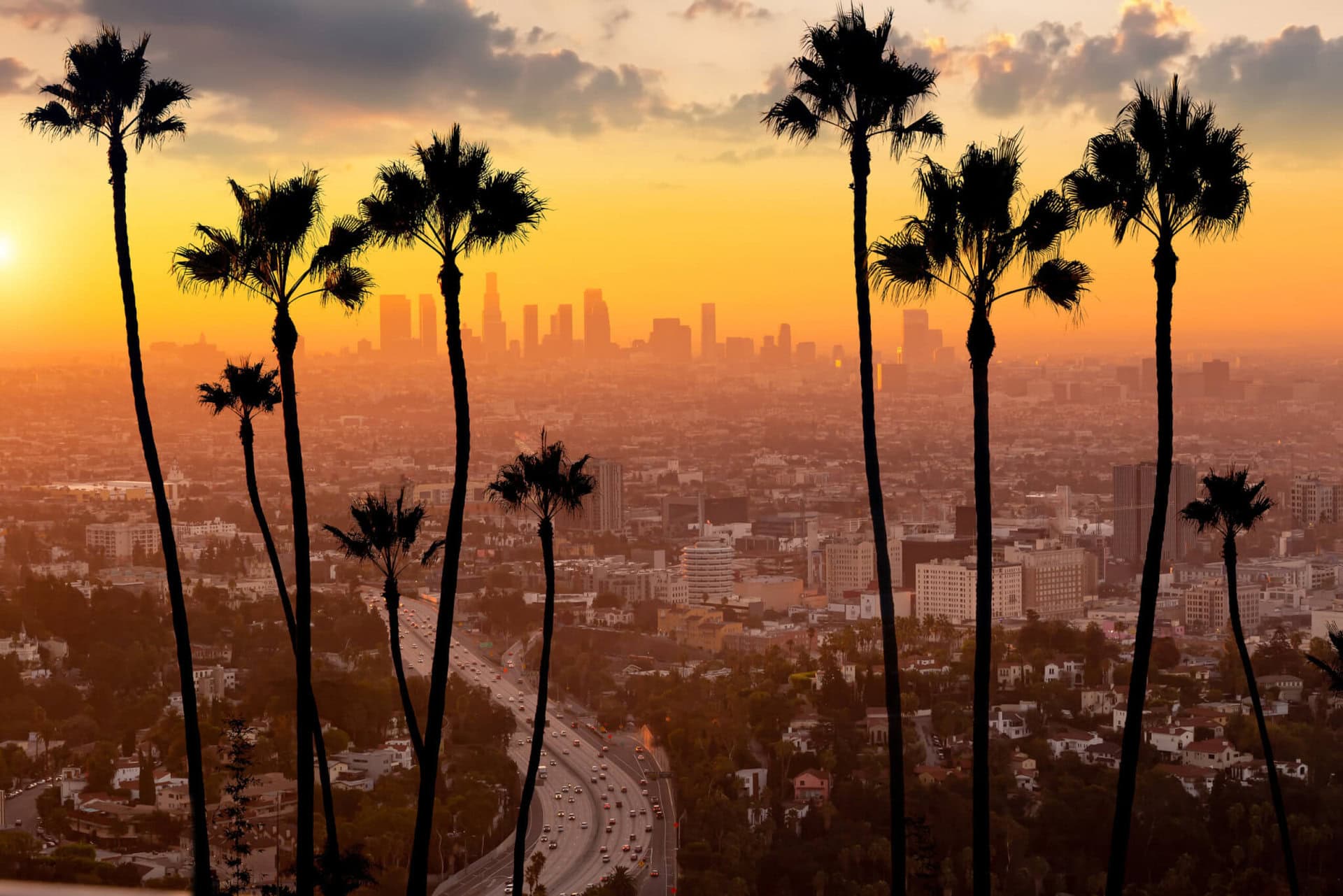 lgbtqi+-urlaub-downtown-sonnenuntergang-gay-prides-los-angeles-kalifornien-palmen-skyline