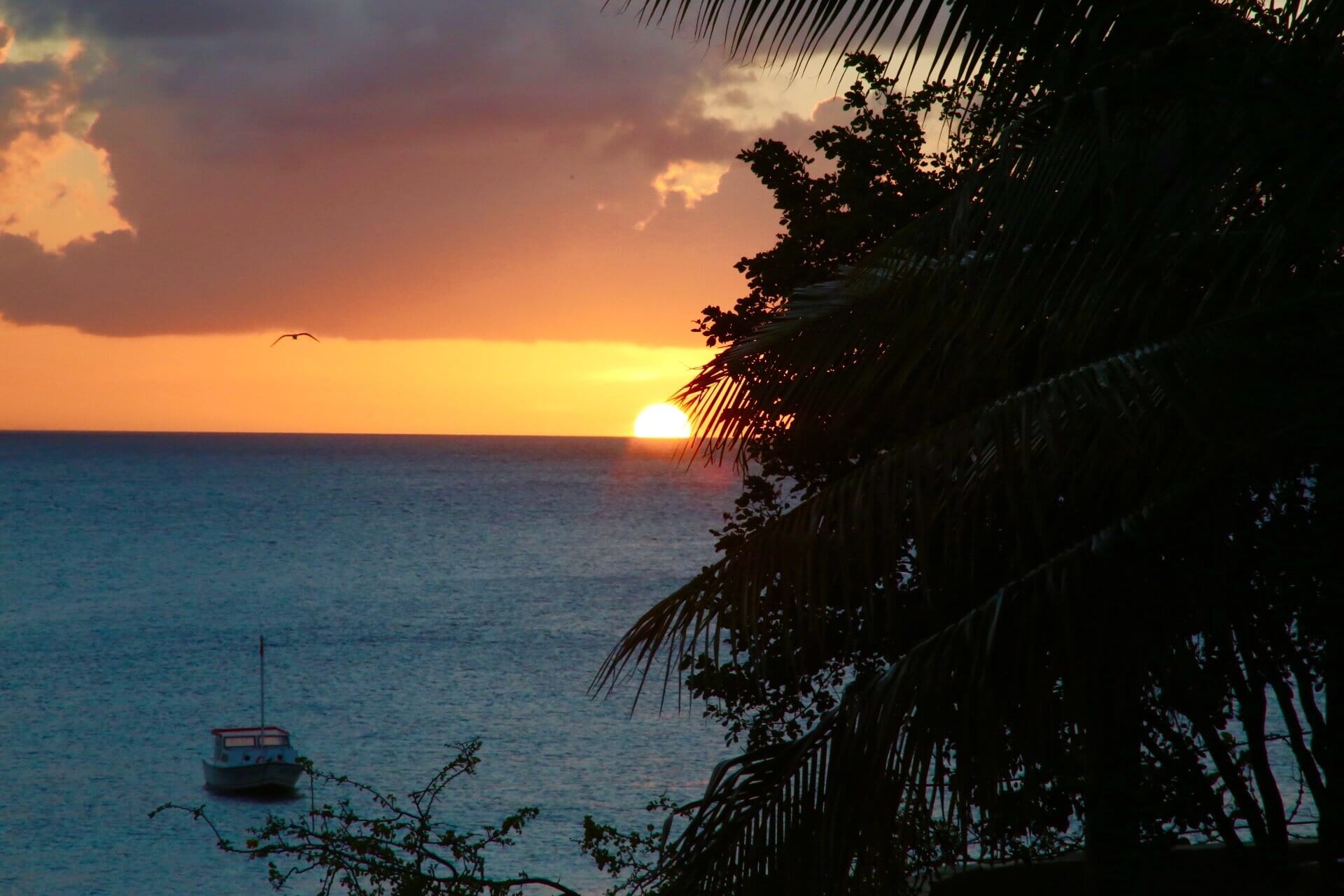 meer-karibik-gay-strand-urlaub-curacao