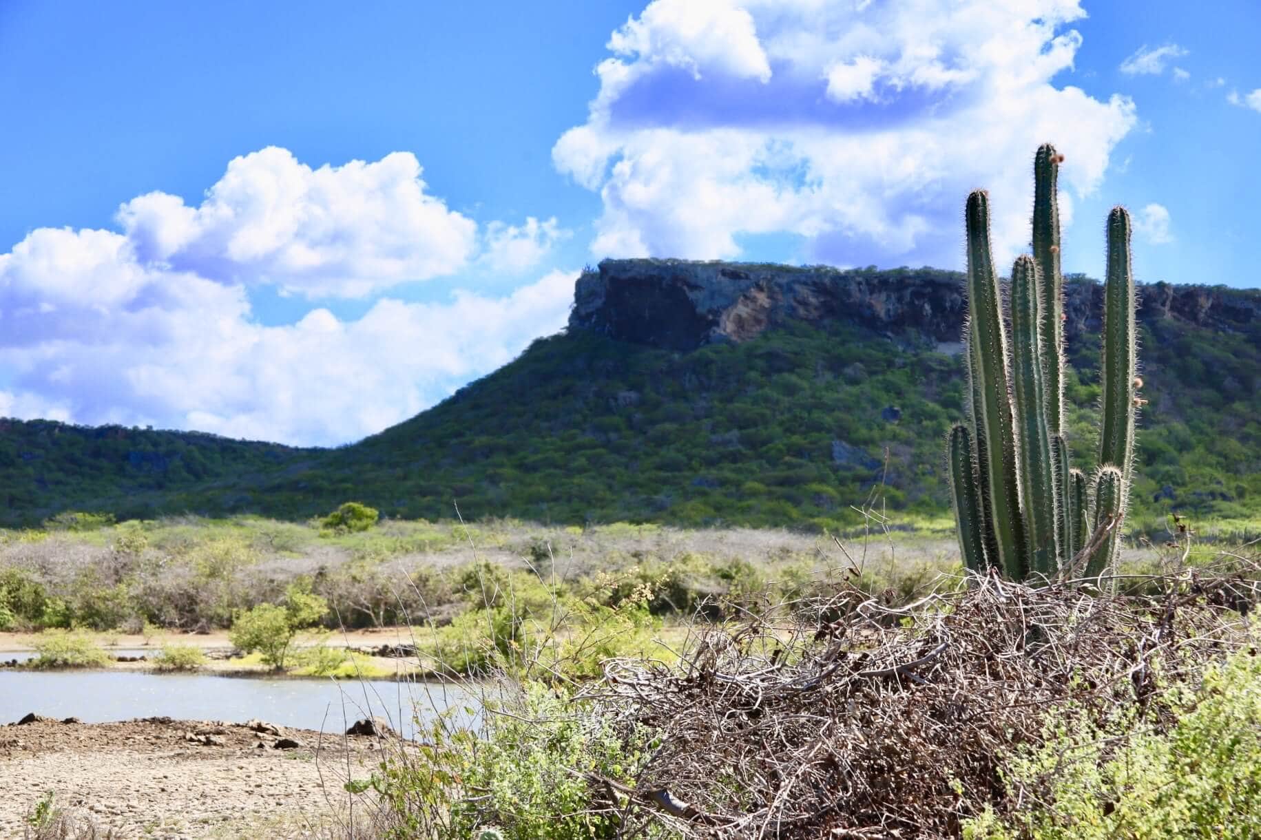 curacao-gay-wildnis-karibik-urlaub-pride