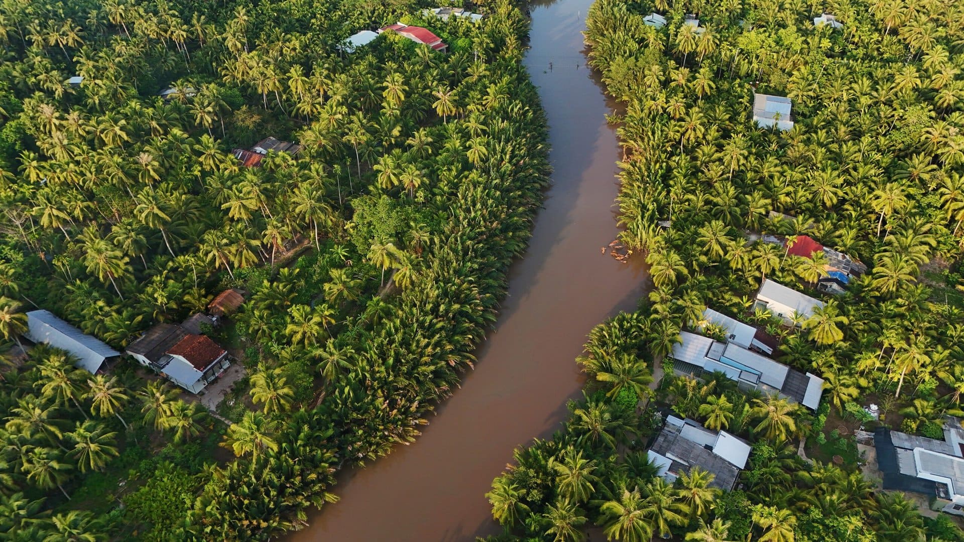 nipa-palmendschungel-beautiful-gay-gruppenreise-laos-kambodscha-urlaub-suedostasien-mekong-delta