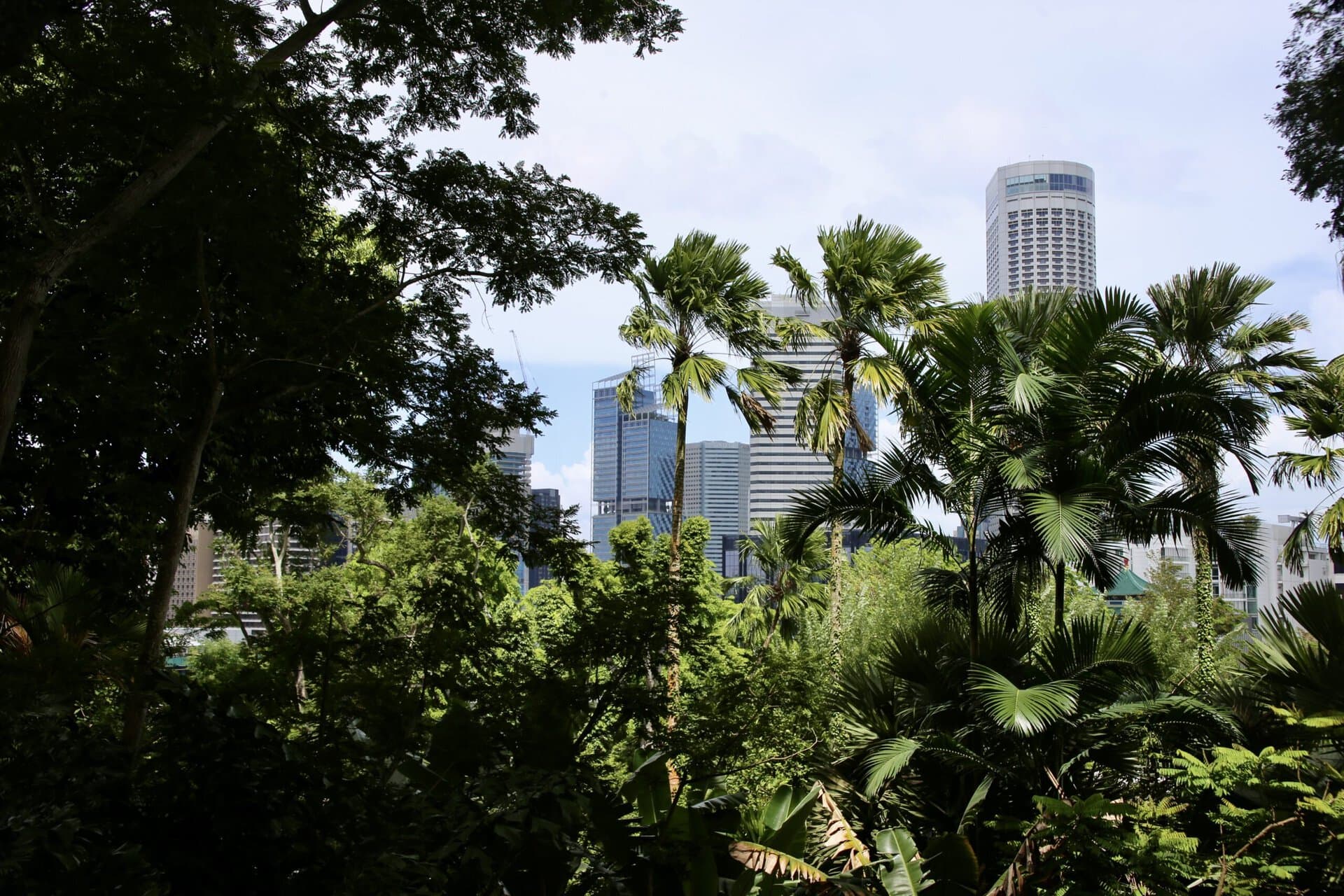 idylisch-gay-reise-singapur-reiseblog-indonesien-lgbtqia+-urlaub-architektur-modern-skyline-lion